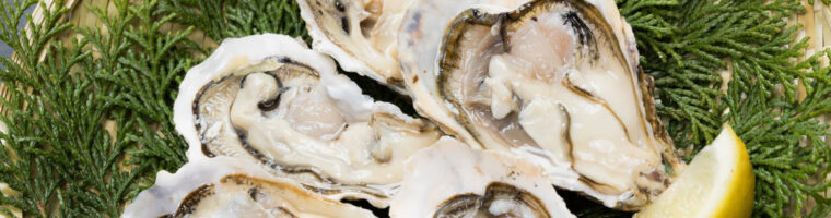 食べ物の牡蠣の画像。牡蠣には亜鉛が含まれている。