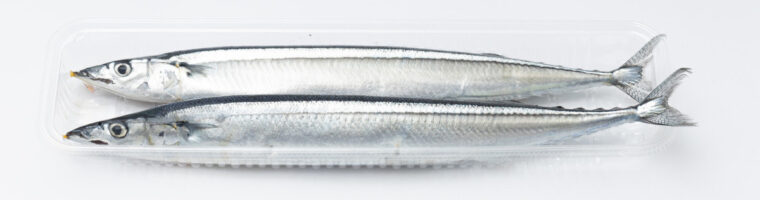 食べ物の秋刀魚の画像。秋刀魚にはDHAとEPAが含まれている。