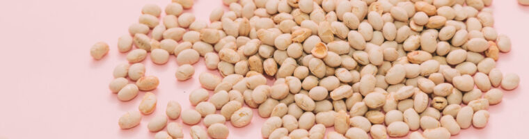 食べ物の大豆の画像。大豆には必須アミノ酸のトリプトファンとフェニルアラニンが含まれている。